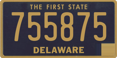 DE license plate 755875