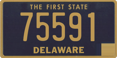 DE license plate 75591