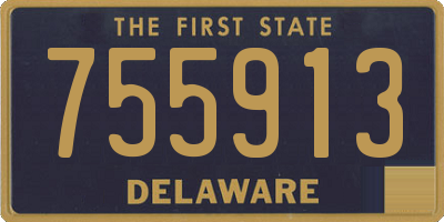 DE license plate 755913