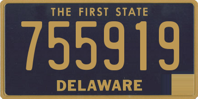DE license plate 755919