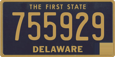 DE license plate 755929