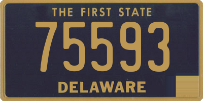 DE license plate 75593