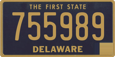 DE license plate 755989
