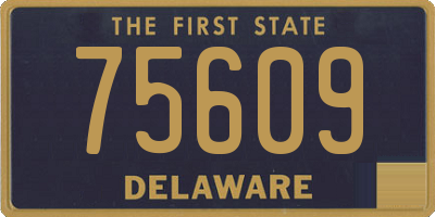 DE license plate 75609