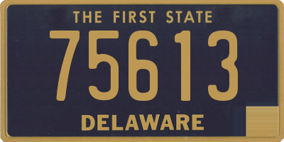 DE license plate 75613