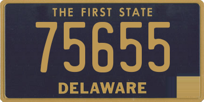 DE license plate 75655