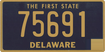 DE license plate 75691