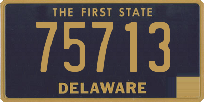 DE license plate 75713