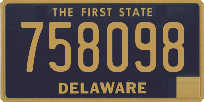 DE license plate 758098