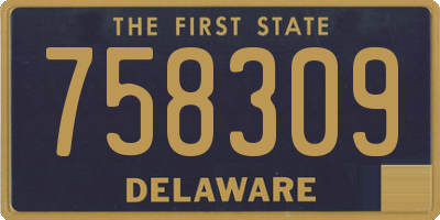 DE license plate 758309