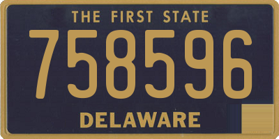DE license plate 758596