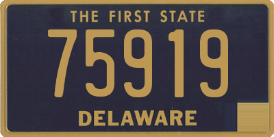 DE license plate 75919