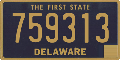 DE license plate 759313