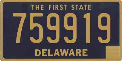 DE license plate 759919