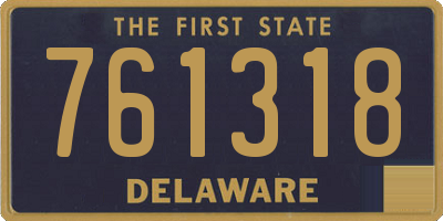 DE license plate 761318