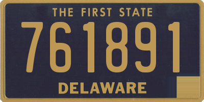DE license plate 761891