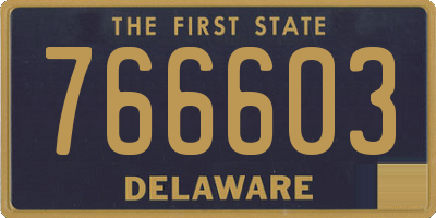 DE license plate 766603
