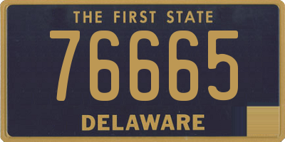 DE license plate 76665
