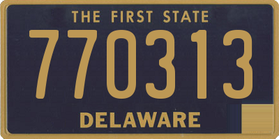 DE license plate 770313