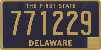 DE license plate 771229