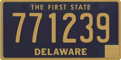 DE license plate 771239