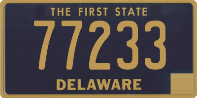 DE license plate 77233