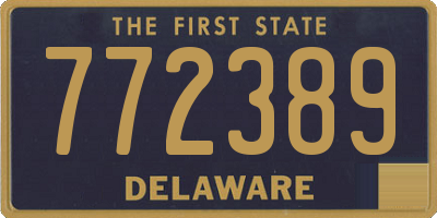 DE license plate 772389