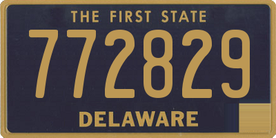 DE license plate 772829