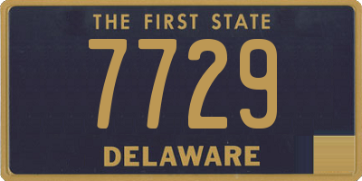 DE license plate 7729