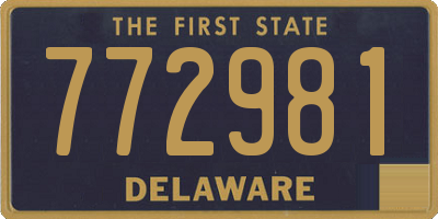 DE license plate 772981