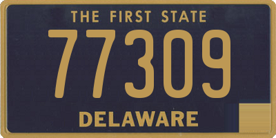 DE license plate 77309