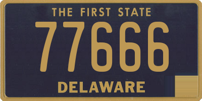 DE license plate 77666