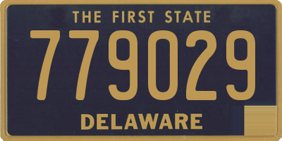 DE license plate 779029