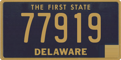 DE license plate 77919