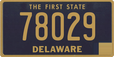 DE license plate 78029