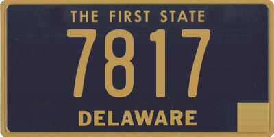 DE license plate 7817