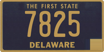 DE license plate 7825