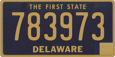 DE license plate 783973