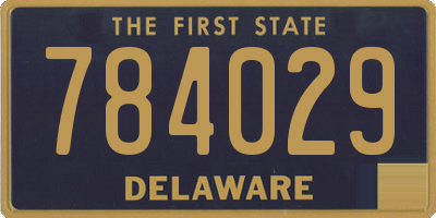 DE license plate 784029