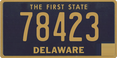DE license plate 78423