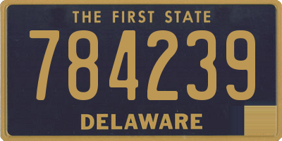 DE license plate 784239