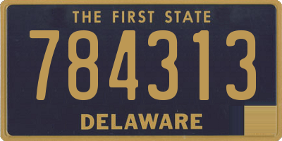 DE license plate 784313
