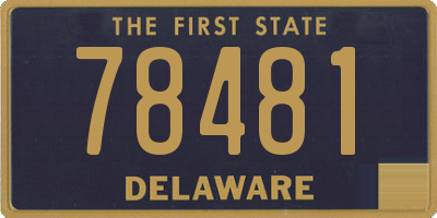 DE license plate 78481