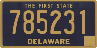 DE license plate 785231