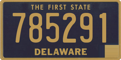 DE license plate 785291