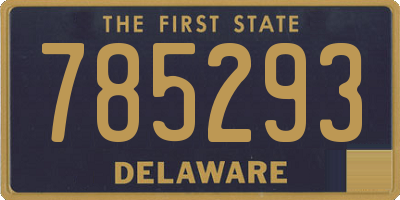DE license plate 785293