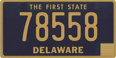 DE license plate 78558