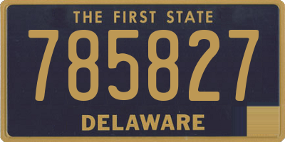 DE license plate 785827