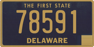 DE license plate 78591