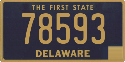 DE license plate 78593